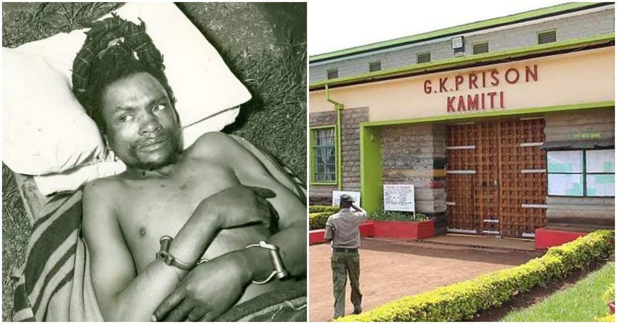 La famille de Dedan Kimathi salue le plan du gouvernement pour retrouver et exhumer les restes d'un combattant de la liberté pour un enterrement décent