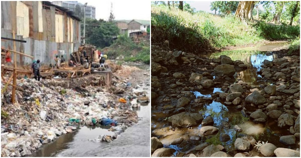 Nanyuki : Les Kenyans sont exhortés à préserver les zones de captage d'eau pour éviter les risques liés au changement climatique