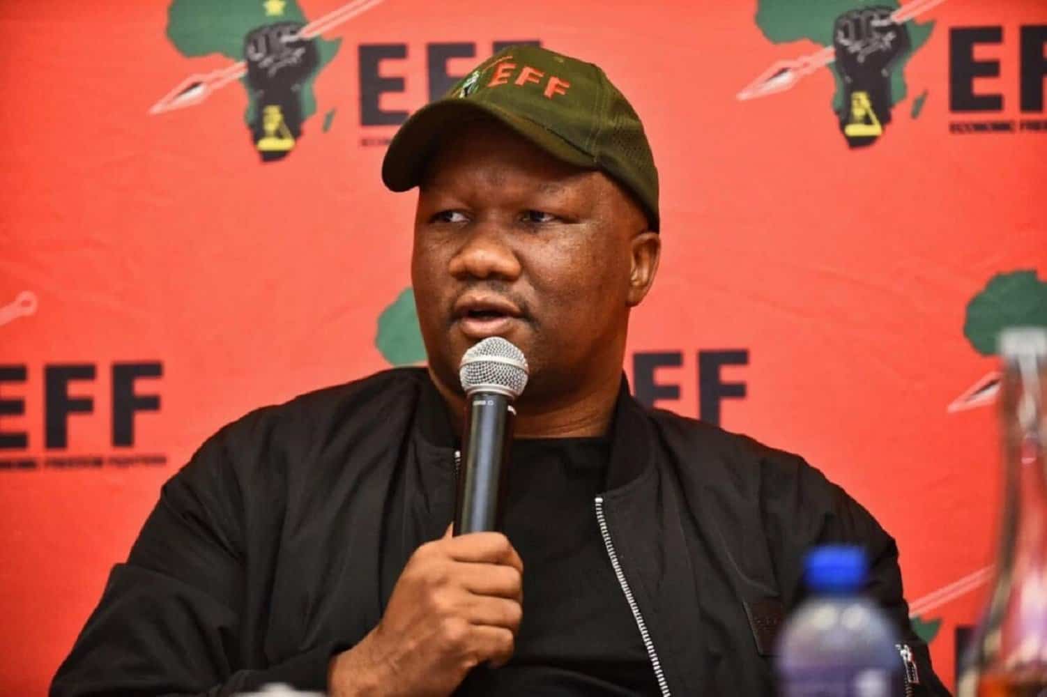 INTERVIEW: Zanu PF, ANC Siamese twins whose end is nigh – says EFF