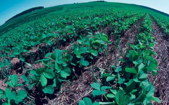 Agro ecological farming