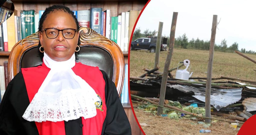 Des squatteurs se battent pour 25 000 acres de terrain avec la famille de feu Mark Too écrivent à la Cour suprême