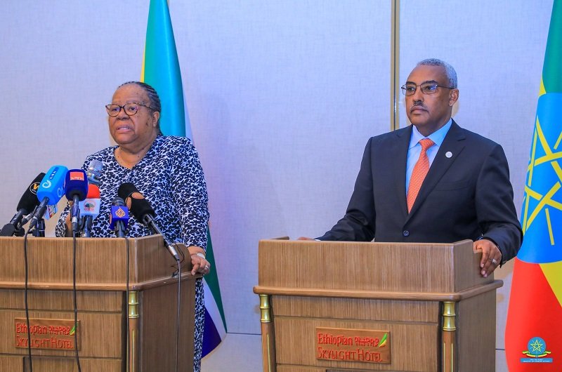 Tenue de la 4e Commission ministérielle conjointe Éthiopie-Afrique du Sud