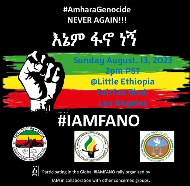 Little Ethiopia Los Angeles _ Protest