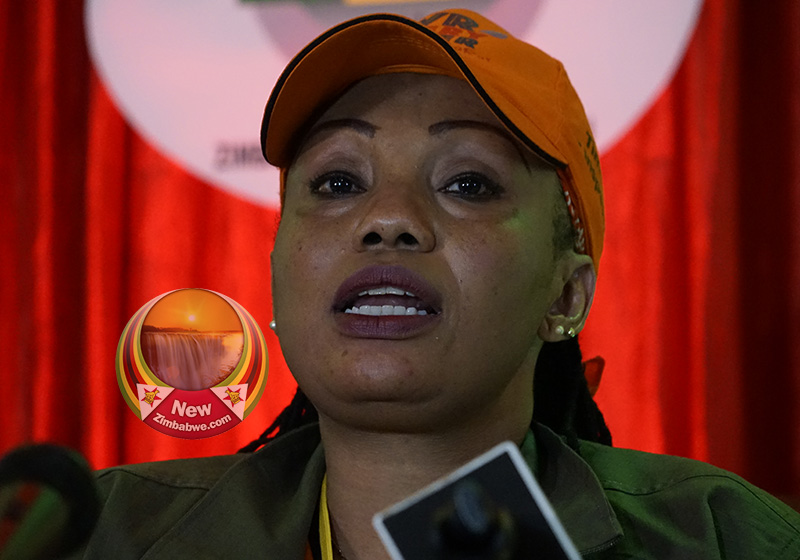 ZEC allays opposition fears of double voting; over 2,000 fake registrants, IDs were unearthed by pressure group Team Pachedu