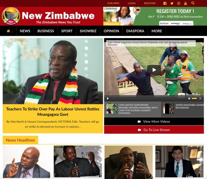 Le patron du Zimbabwe Cricket savoure une tournée historique en Angleterre