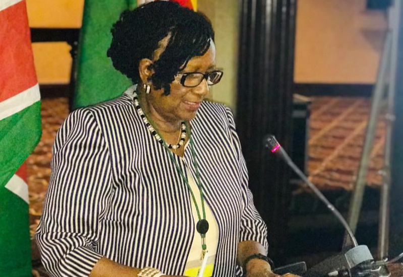 Fraud accused ex-minister Mupfumira bounces back as Zanu PF Senator