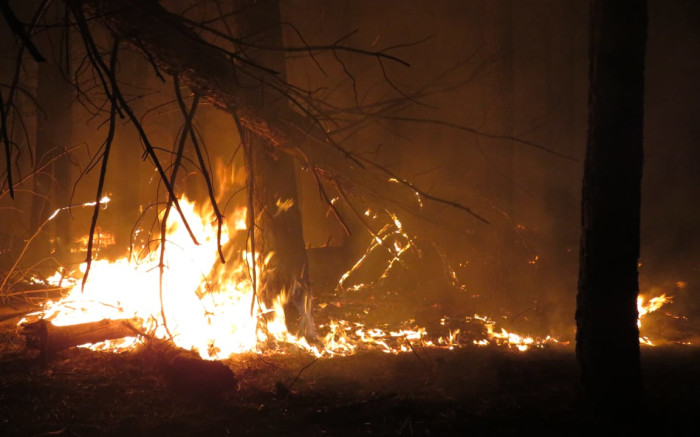 WoF exhorte les habitants à ne pas allumer d'incendie au milieu de l'incendie d'Ugie