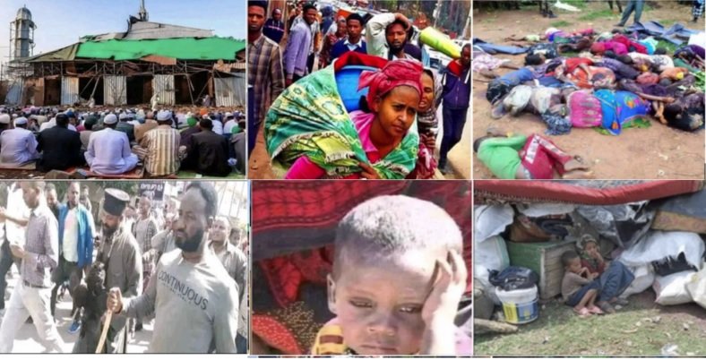 Oromo doit sauver son héritage des deux axes du mal...