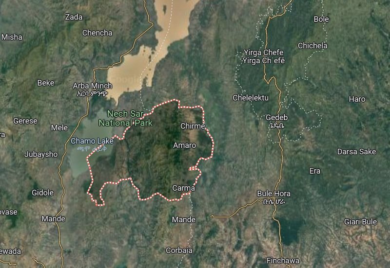 Peoples Representatives _ Amaro