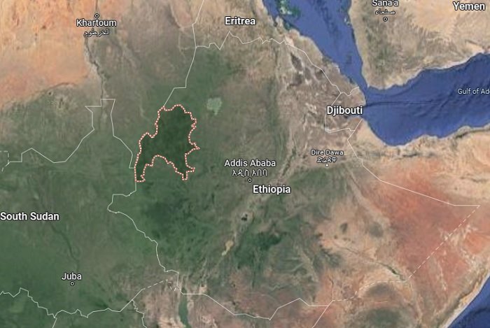 Membres de Libération du Peuple de Benishangul...