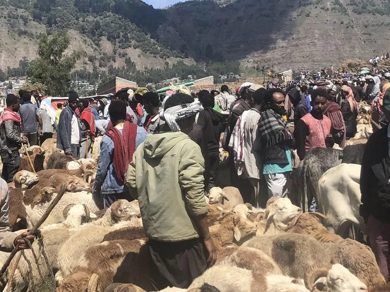 Ethiopian Economy _ Price Hike