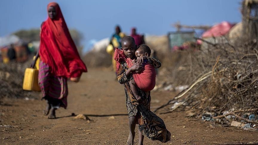 Food insecurity in Africa should be overcome in five years, AfDB head says