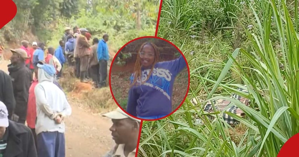Nyeri : Une jeune fille disparue de 19 ans retrouvée morte et son corps jeté dans une plantation d'herbe de Napier