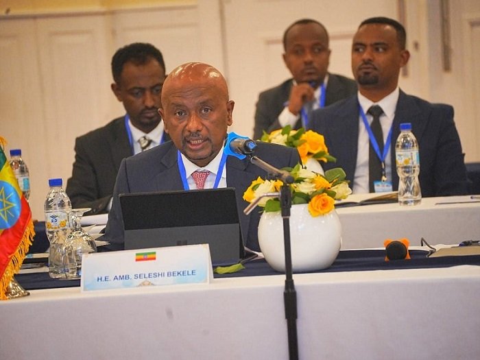 GERD-negotiation-Addis Ababa