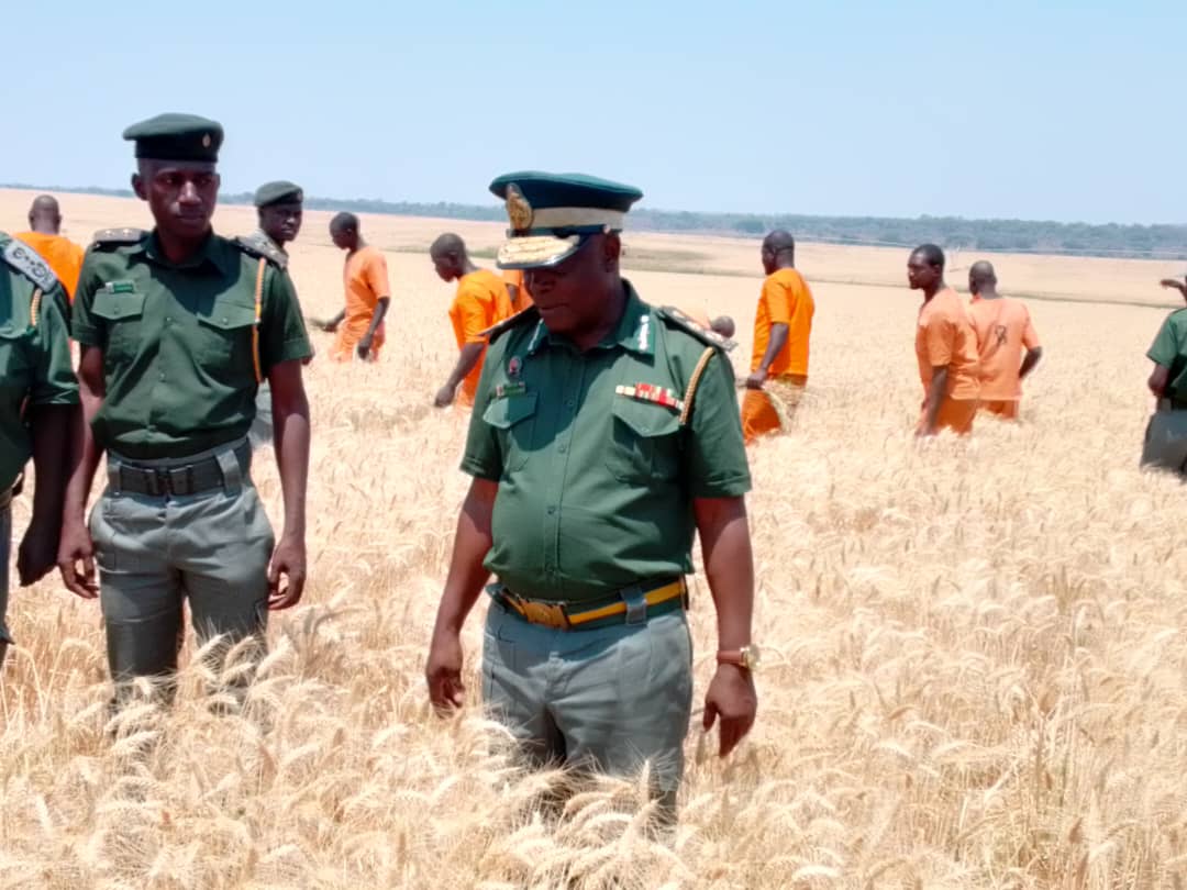 No prisoner will starve — says ZPCS boss Chihobvu as Zim prisons target food self-sufficiency