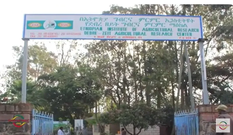 Ethiopian News - Debre Zeit Kidnapping