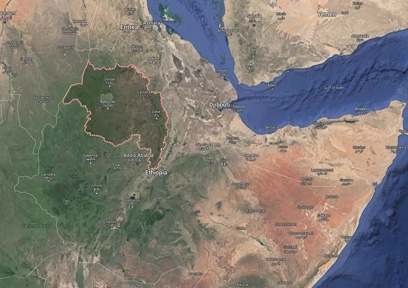 Ethiopian Health Professionals report on Amhara region