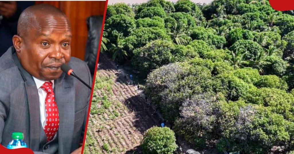 Lamu : Le gouvernement publie les noms et les photos de 35 suspects de terrorisme recherchés et des informateurs recevront une récompense en espèces