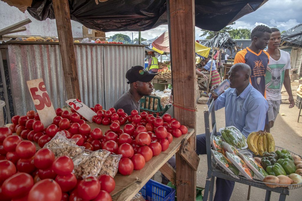 Zimbabwe’s Muppet Show