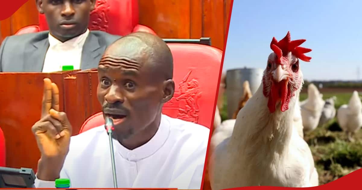 Le pasteur Ezekiel dit qu'il ne dépend pas des offrandes et qu'il gagne de l'argent grâce au commerce de la volaille