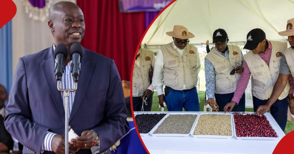 Rigathi Gachagua insiste sur le fait qu'il va détruire les cartels du café : « Tutapambana Na Hao »