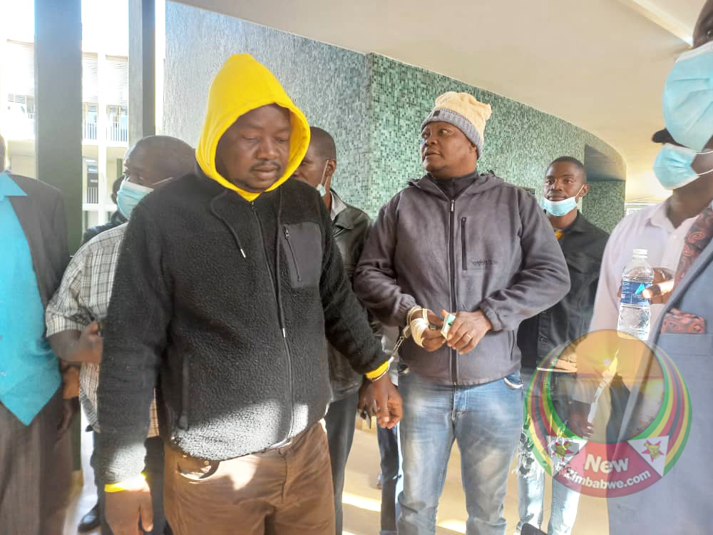 Sikhala, Sithole to put defence in public violence case, court dismisses application for discharge