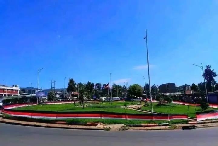 Sululta _ OLF Shane kidnapping