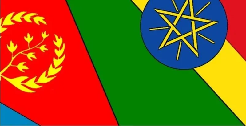 Agenda de la Mer Rouge, « Changement de régime » en Érythrée