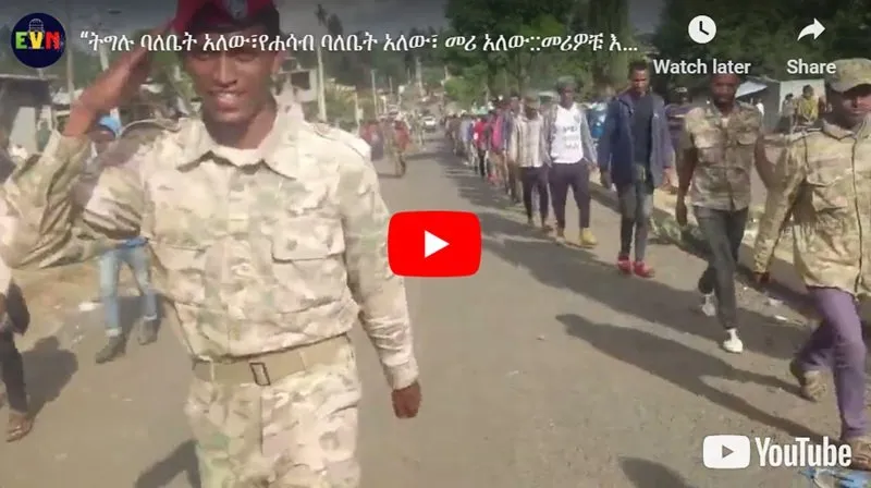 Fano force dans un seul district de Gojam, le leader affirme que le mouvement a des propriétaires