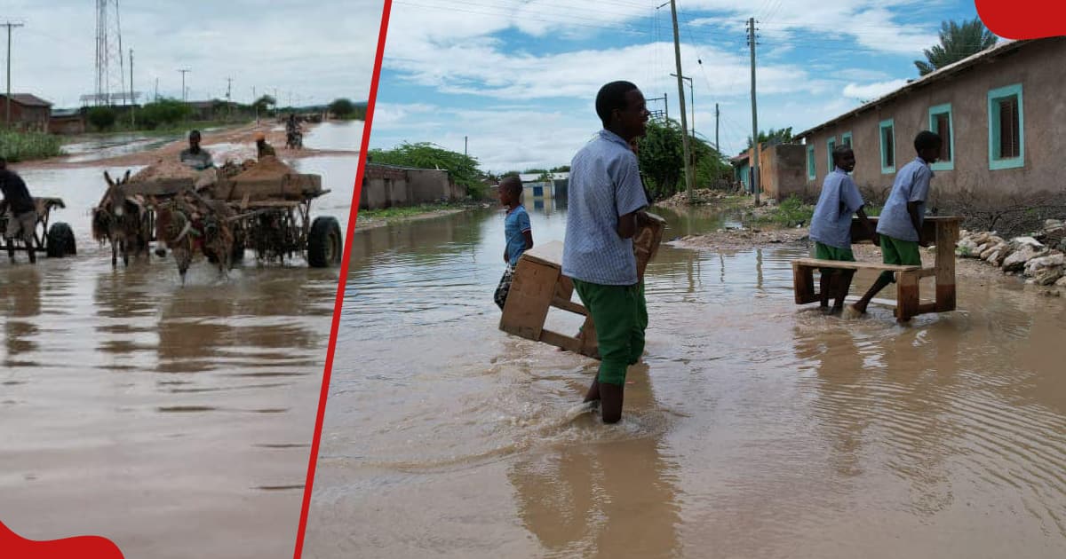 Mandera : 3 morts, des dizaines de maisons et d'écoles submergées alors que les inondations font des ravages dans la ville d'Elwak