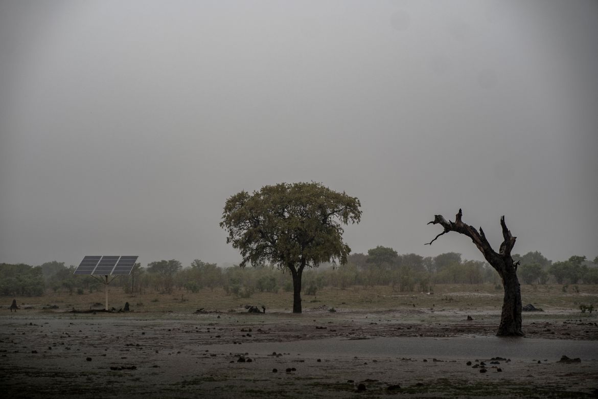 Averses de pluie dans un point d'eau du parc national de Hwange, dans le nord du Zimbabwe, le 16 décembre 2023.