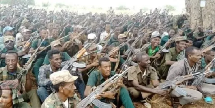 Conflit en cours dans la région d'Amhara