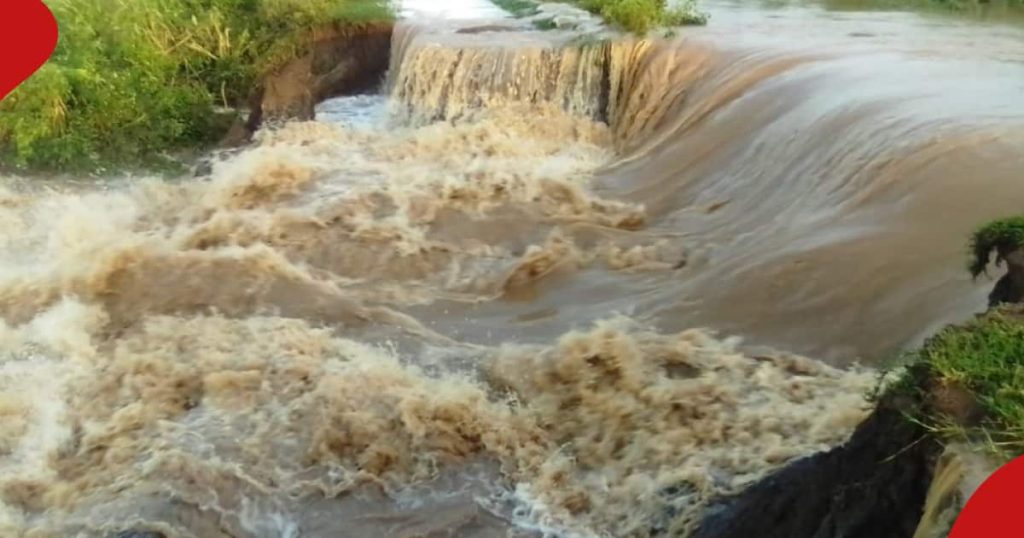 Kakamega : Une femme sauvée après avoir sauté dans une rivière en crue avec ses jumeaux de deux ans
