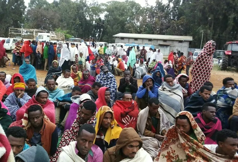 Ethiopian News - Displaced Amhara