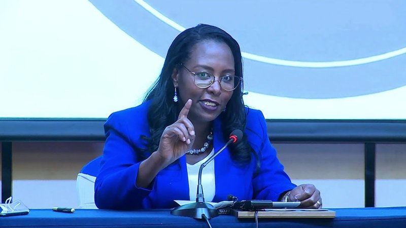 Addis Ababa City Ethnicity policy