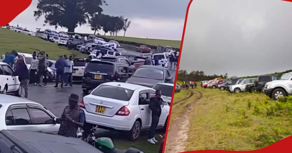 Le comté de Kiambu interdit les fêtes populaires dans les parcs et les détentes organisées à proximité des plantations de thé