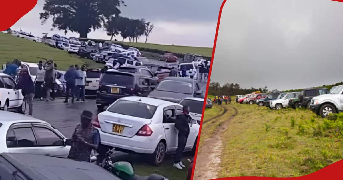Le comté de Kiambu interdit les fêtes populaires dans les parcs et les détentes organisées à proximité des plantations de thé