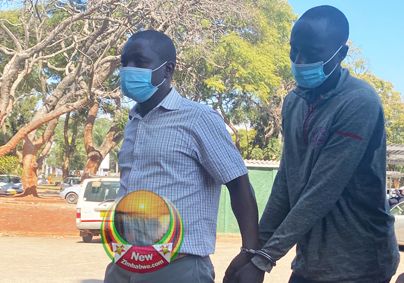 L'opposition considère que la peine de 30 ans de prison imposée à Jamba pour le meurtre de Moreblessing Ali est « décourageante »