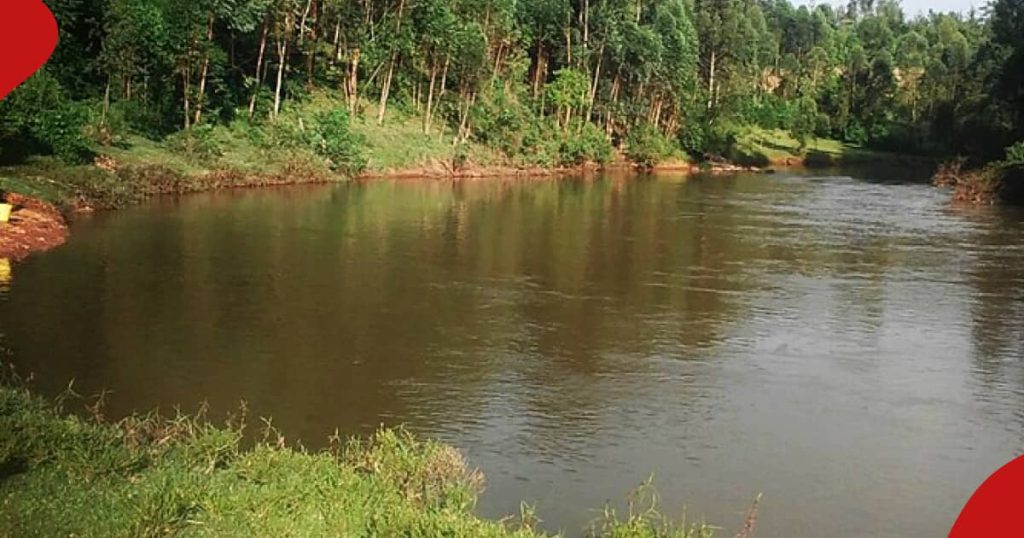 Kericho : Une femme qui allait chercher de l'eau dans une rivière se noie après avoir subi une crise d'épilepsie