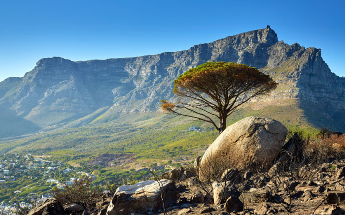 Le renforcement de la sécurité à Table Mountain a permis d'éviter de nouvelles agressions