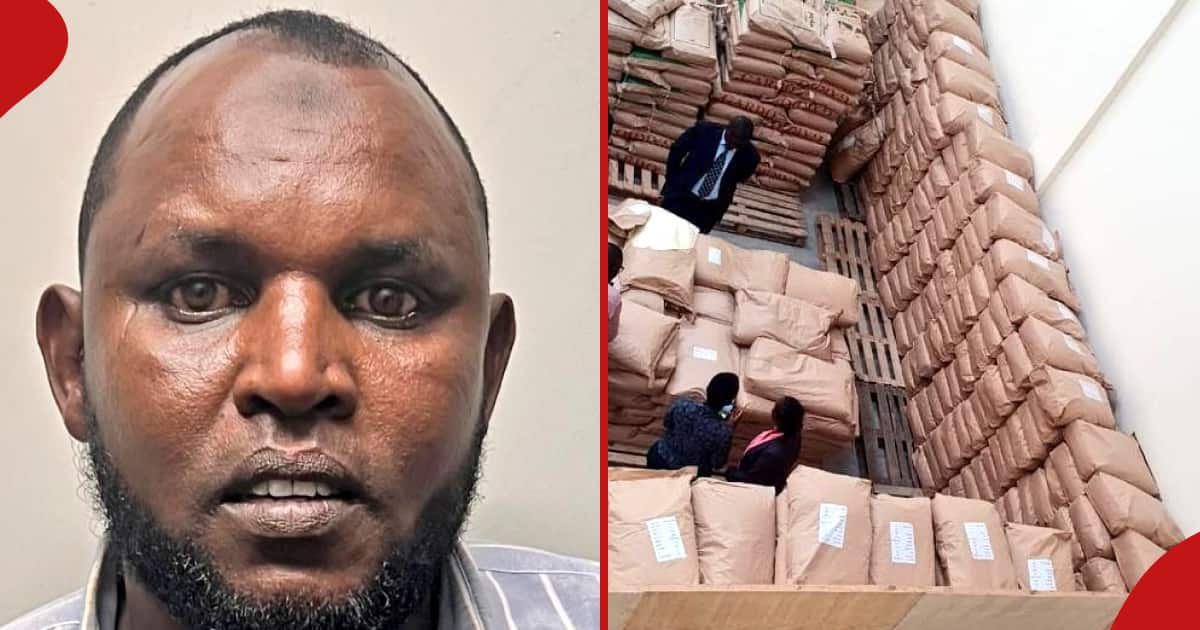 Ruai : des agents de la DCI arrêtent 2 suspects avec plus de 2,5 millions de KSh de lait en poudre de contrebande et 289 sacs de maïs