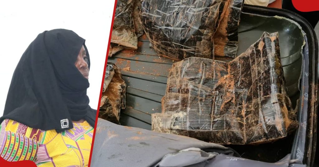 Un magistrat de Mombasa emprisonne une Tanzanienne pendant 35 ans et lui ajoute une amende de 48 millions de shillings pour trafic de stupéfiants