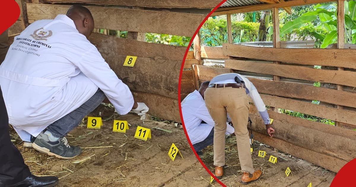 Boni Khalwale : les détectives des homicides prennent d'assaut le domicile du sénateur de Kakamega suite à la mort du gardien de Bull