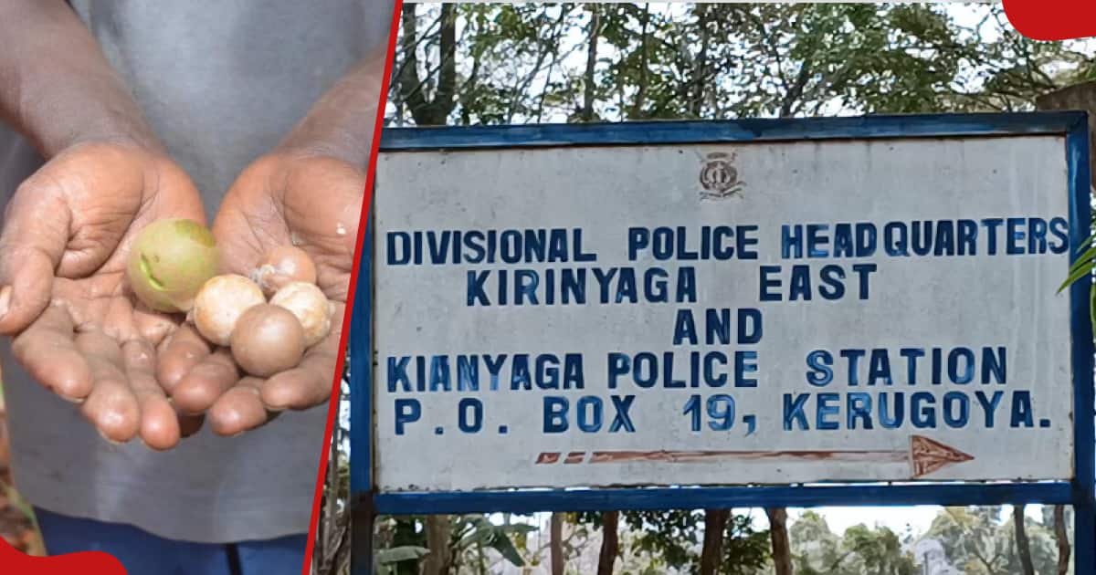 Kirinyaga : un homme de 70 ans poignarde et tue son fils après une dispute foncière