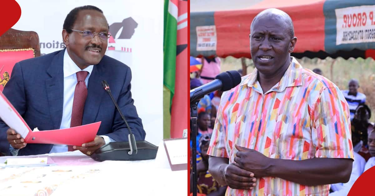 Le gouverneur adjoint de Kericho exhorte Kalonzo à faire défection pour rejoindre l'UDA pour succéder à William Ruto en 2032