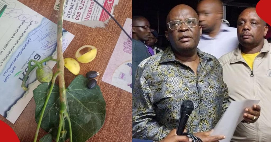 Machakos : plus de 50 étudiants hospitalisés après avoir mangé des fruits toxiques
