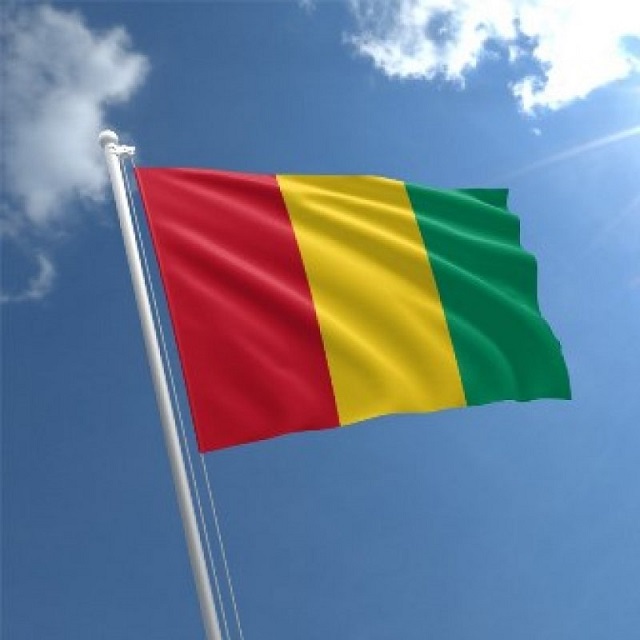 Guinea Flag