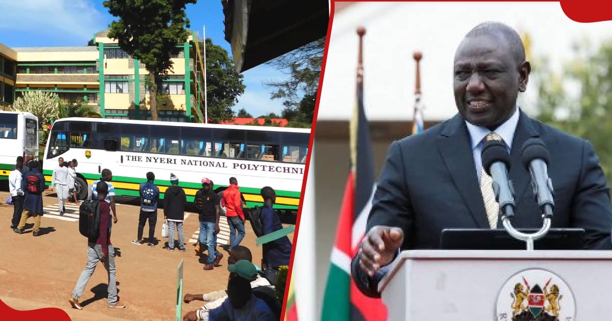 Un étudiant audacieux demande à Ruto un emploi à la State House et obtient un stage : "Je vais évaluer vos performances"