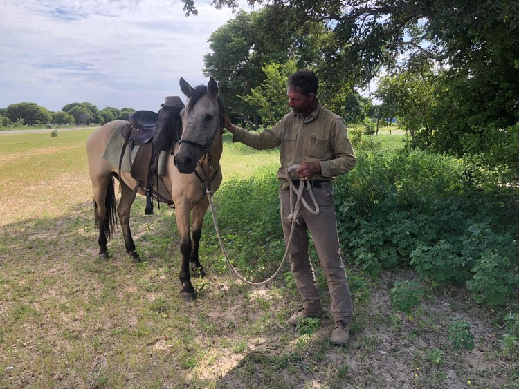 Photo d'un homme et d'un cheval