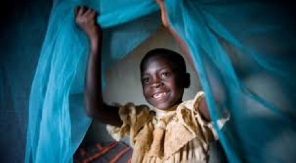 Long Lasting Insecticide Treated Nets Llins Best